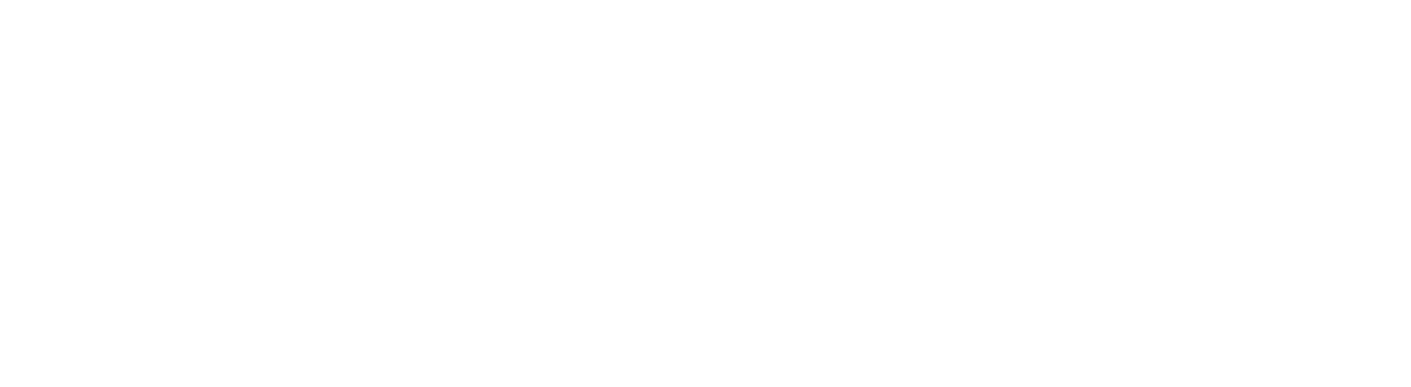 COBO PHOTOGRAPHY LOGO